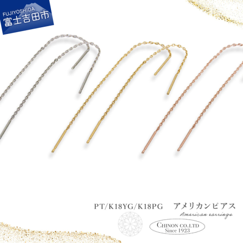 アメリカンピアス　PT/K18YG/K18PG 2580037 - 山梨県富士吉田市