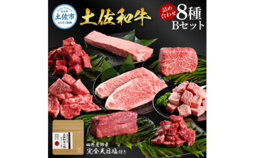 土佐和牛詰め合わせ8種Bセット 長期熟成肉 8種 詰め合わせ セット 田野屋銀象 完全天日塩付き 牛肉 肉 お肉 和牛 国産 牛 赤身 ヒレ カルビ ロース ブロック【株式会社LATERAL】 [BQAU067] 2580199 - 高知県土佐市