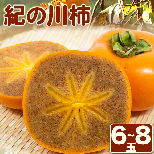 紀の川柿 6-8玉入 約1.8kg ときわオンライン《2026年10月上旬-12月中旬頃出荷》和歌山県 紀の川市 平核無柿 ひらたねなしがき 2580369 - 和歌山県紀の川市