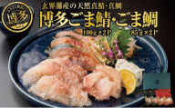 博多名物 ごま鯖 ごま鯛 2種 食べ比べ 各2パック セット 詰め合わせ 長浜市場水揚げ 小分け 天然 ごまさば 鯖 鯛 真鯖 真鯛 長浜市場 刺身 茶漬け 海鮮 お茶漬け お茶漬けの素 出汁茶漬け 惣菜 ご飯のお供 おつまみ つまみ 酒のつまみ 博多 福岡市