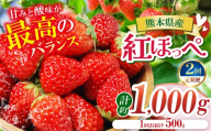 【定期便2ヶ月】【農家から届く甘酸っぱい贈り物】紅ほっぺ 約1000g | 紅ほっぺ いちご 苺 フルーツ 果物 国産 国産フルーツ 産地直送 農家直送 低農薬 お取り寄せ ギフト贈答用 プレゼント お歳暮 熊本県 玉名市