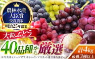 大粒品種詰め合わせ(シャインマスカット含まず)4.0サイズ