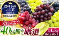 大粒品種詰め合わせ(シャインマスカット含む)1.5サイズ