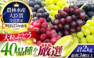 大粒品種詰め合わせ(シャインマスカット含む)2.0サイズ