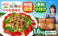 【2026年8月配送】「山のウエノ豚」　モモ 生姜焼き 1.6kg (400g×4パック) 大村市 / 合同会社肉のマルシン [ACCF003-8]