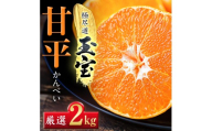 「玉宝ブランド」＜甘平＞2kg＜D64-43＞_ みかん ミカン 柑橘 甘平 カンペイ かんぺい フルーツ くだもの 果物 ふるーつ 青果 果実 甘い ジューシー 産直 産地直送 旬 柑橘類 人気 愛媛 果汁 【1511245】 YWTY032