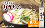 スピード配送！【国産小麦使用】力うどん 100人前（200g×50束）　044-F-TB045