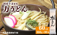 スピード配送！【国産小麦使用】力うどん 60人前（200g×30束）　028-F-TB044
