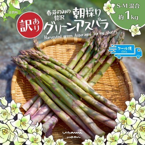 【2026年予約】【訳あり】朝採りグリーンアスパラ（春芽）S-M混合 約1kg 北海道壮瞥町産 SBTAJ038 2582973 - 北海道壮瞥町