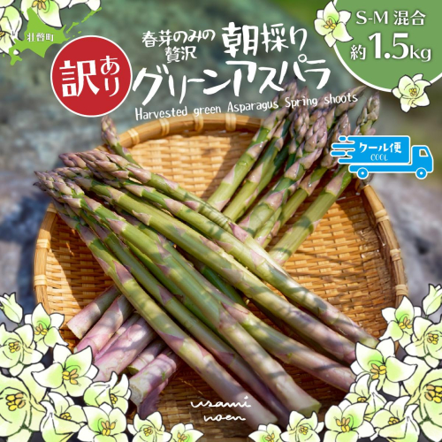 【2026年予約】【訳あり】朝採りグリーンアスパラ（春芽）S-M混合 約1.5kg 北海道壮瞥町産 SBTAJ039 2582974 - 北海道壮瞥町