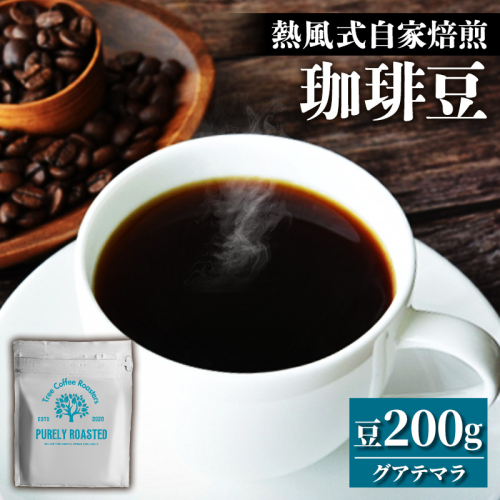 【完全受注焙煎】Tree Coffee Roasters「グアテマラ アンティグア レタナ ハイロースト」 200g - コーヒー 豆 こだわり 自家焙煎 コーヒー豆 熱風式焙煎 本格 贈り物 おすすめ 人気 沖縄県 八重瀬町 2582997 - 沖縄県八重瀬町
