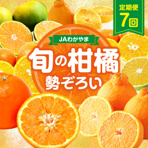 JAわかやま紀州　柑橘勢ぞろい　セット　7回　定期便 2583002 - 和歌山県御坊市