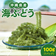 沖縄県産 海ぶどう 100g(ご自宅用)|海ぶどう 新鮮 お取り寄せ グリーンキャビア 沖縄県 南城市 有限会社板馬養殖センター