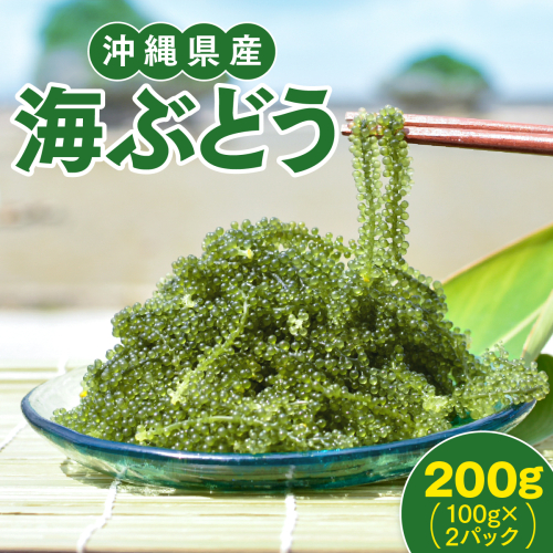 沖縄県産　海ぶどう　100g× 2 パック（ご自宅用）|海ぶどう 新鮮 お取り寄せ グリーンキャビア 沖縄県 南城市 有限会社板馬養殖センター 2583005 - 沖縄県南城市