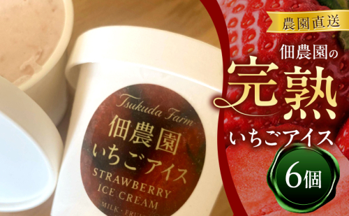 農園直送　佃農園の完熟いちごアイス 6個　アイス アイスクリーム いちご イチゴ 苺 完熟 スイーツ おやつ デザート 冷菓 奈良県 大和郡山市 2583037 - 奈良県大和郡山市