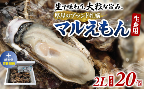 翌日配送 航空便 厚岸のブランド牡蠣 マルえもん 2Lサイズ 20個 [ 牡蠣 生食用 魚貝類 海鮮 海のミルク 国産 生食用殻付き牡蠣 まろやか クリーミー  牡蠣の酒蒸し 焼き牡蠣 マルえもん ] 2583145 - 北海道厚岸町