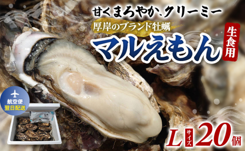 翌日配送 航空便 厚岸のブランド牡蠣 マルえもん Lサイズ 20個 [ 牡蠣 生食用 魚貝類 海鮮 海のミルク 国産 生食用殻付き牡蠣 まろやか クリーミー  牡蠣の酒蒸し 焼き牡蠣 マルえもん ] 2583147 - 北海道厚岸町