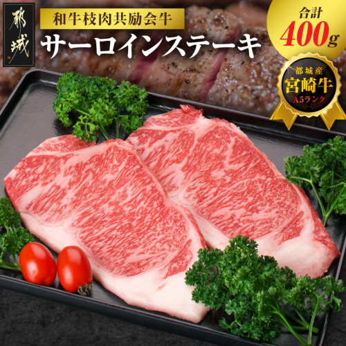 【和牛枝肉共励会牛】(A5)宮崎牛サーロインステーキ200g×2_AD-25-001 2583148 - 宮崎県都城市