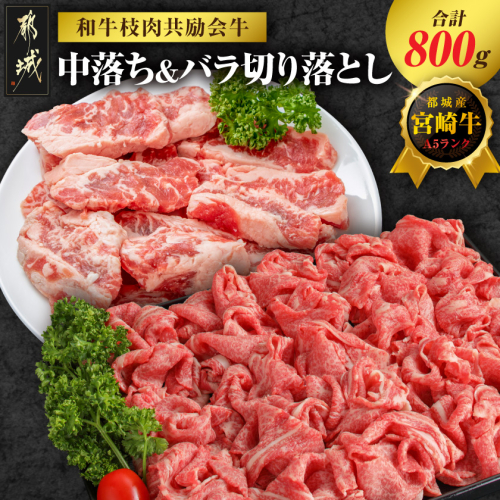 【和牛枝肉共励会牛】(A5)宮崎牛中落ち&バラ切り落としセット_17-25-006 2583153 - 宮崎県都城市