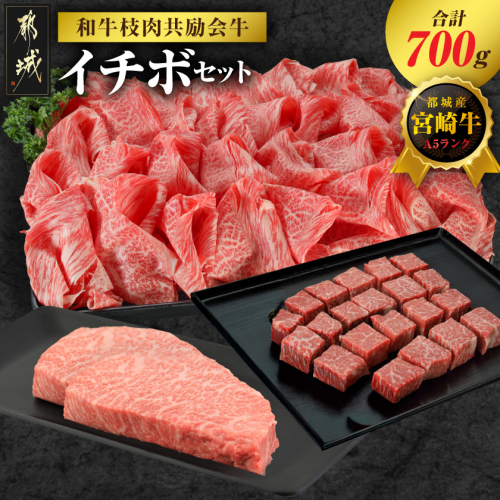 【和牛枝肉共励会牛】(A5)宮崎牛イチボセット_18-25-008 2583155 - 宮崎県都城市