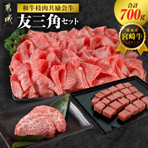 【和牛枝肉共励会牛】(A5)宮崎牛友三角セット_18-25-009 2583156 - 宮崎県都城市