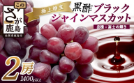 ブラックシャインマスカット 富士の輝き 2房 1400g以上 【先行受付】【2026年8月下旬〜9月下旬発送予定】希少 高糖度 ブラック シャインマスカット マスカット フルーツ 果物 ぶどう 新鮮 生産者直送 葡萄 佐賀県 鹿島市 送料無料 D-300