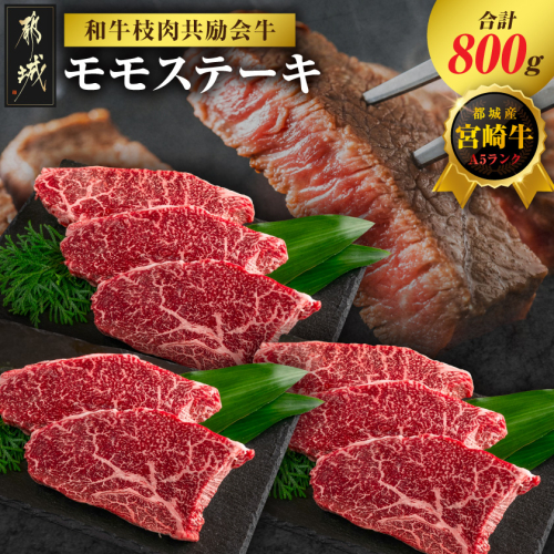 【和牛枝肉共励会牛】(A5)宮崎牛モモステーキ_26-25-012 2583282 - 宮崎県都城市