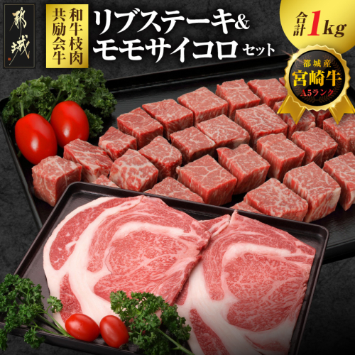 【和牛枝肉共励会牛】(A5)宮崎牛リブ&モモサイコロステーキセット_29-25-013 2583283 - 宮崎県都城市