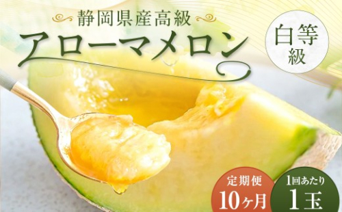 【 10ヶ月 定期便 】 静岡県産 高級 アローマメロン 白等級 約1.0kg 以上 × 1玉 マスクメロン メロン めろん 高級ブランドメロン 高級メロン 果物 くだもの フルーツ 定期便 静岡県 菊川市 2583955 - 静岡県菊川市