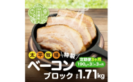 【定期便3カ月】特製ベーコン ブロック(190g×3パック) 《合計3回発送》 無着色 国産 ベーコン ブロック 数量限定 世羅 A035-07