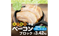 【定期便6カ月】特製ベーコン ブロック(190g×3パック)《合計6回発送》  無着色 国産 ベーコン ブロック 数量限定 A035-08
