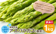 Y18-23 【訳あり】清流・有機肥料使用 アスパラガス(夏芽) 1kg 朝採り 旬 旬野菜 新鮮 アスパラ アスパラガス 野菜 とれたて お取り寄せ 福岡県 福智町 国産 九州産 送料無料 あすぱらがす 人気 アスパラガス おすすめ アスパラガス 訳あり 常温