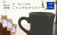 【定期便：6ヶ月連続でお届け】シングルオリジンコーヒー 100g × 3品種（中挽き）計300g×6ヶ月 1075028 コーヒー 珈琲 粉