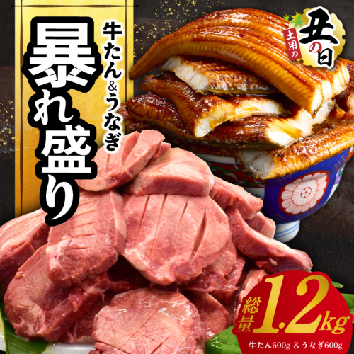 【7/26土用の丑の日】暴れ盛りセット 牛たん & うなぎ 総量 1.2kg【600g×2 牛肉 厚切り牛タン 鰻 蒲焼き 訳あり サイズ不揃い 小分け 家計応援】 G3614d 2584881 - 大阪府泉佐野市