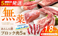 【7月発送】あんしん豚 ブロックセット 1.8kg 豚肉 ロース モモ カタ 詰合せ 国産 白川町 / 藤井ファーム [AWAF008-7] 豚肉 国産 国産豚肉 小分け ブロック ブロック肉 セット 冷凍 真空パック 国産豚 薄切り 厚切り ポーク 肩ロース ロース モモ カタ スペアリブ 豚肩ロース 豚ロース 豚モモ  1万7千円 17000円