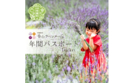 年間パスポート1枚《香山ラベンダーの丘》ポピー ラベンダー コスモス ハーブ 年パス 観光 農園 A051-07