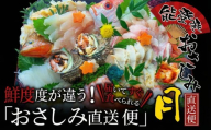 [お届け日: 05月08日 (金)][能登半島地震復興支援]能登産 お刺身盛り合わせセット「おさしみ直送便〜月〜」4〜5名様分|冷蔵 生 魚介 海鮮 さしみ 詰め合わせ セット 盛り合わせ 盛り付け 日本海 海の幸 シーフード 直送 能登湾 能登 復興 復興支援 石川県 七尾市 ※北海道・青森・九州(福岡を除く)・沖縄・離島への配送不可