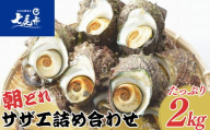 朝どれ旬のサザエ詰め合わせ（大2kg）刺身 つぼ焼き 貝 ※季節商品 ※2026年6月上旬～9月下旬頃に順次発送予定