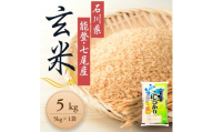 [発送時期が選べる]石川県能登産こしひかり玄米5kg(5kg×1個) / 米 玄米 5kg 日本初!世界農業遺産認定「能登の里山里海」の恵み |石川県 七尾市 能登 ※2026年6月〜発送