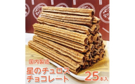 【定期便】国内製造　星のチュロス　チョコレート　25本入り　全6回 ※着日指定不可