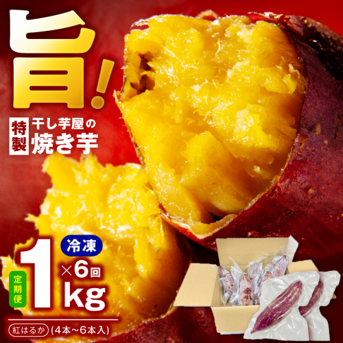 【定期便】干し芋屋の焼き芋 紅はるか約1kg 個包装4～6本入り 全6回【焼き芋 いも イモ サツマイモ さつまいも 紅はるか 冷凍 おやつ】 099Z529 2586374 - 大阪府泉佐野市