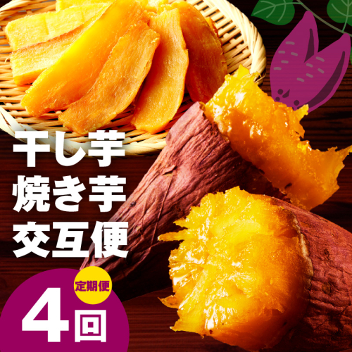 【定期便】干し芋 600g/焼き芋1kg 全4回 交互便【ほしいも 芋 いも 無添加 紅はるか 干しいも おやつ サツマイモ さつまいも】 099Z525 2586377 - 大阪府泉佐野市