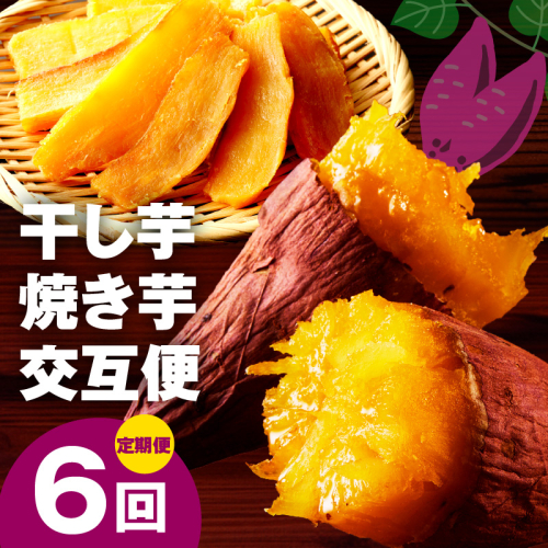 【定期便】干し芋 600g/焼き芋1kg 全6回 交互便【ほしいも 芋 いも 無添加 紅はるか 干しいも おやつ サツマイモ さつまいも】 099Z526 2586378 - 大阪府泉佐野市
