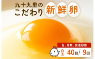 【定期便9回】九十九里ファームこだわりたまご贈答用 40個 ～あおい海・みどりの里～《白玉》 たまご 卵 玉子 タマゴ 白玉 卵かけご飯 新鮮 旨み 甘み 贈答用 贈答 ギフト 贈り物 千葉県 匝瑳市