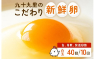 【定期便10回】九十九里ファームこだわりたまご贈答用 40個 ～あおい海・みどりの里～《白玉》 たまご 卵 玉子 タマゴ 白玉 卵かけご飯 新鮮 旨み 甘み 贈答用 贈答 ギフト 贈り物 千葉県 匝瑳市