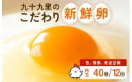 【定期便12回】九十九里ファームこだわりたまご贈答用 40個 ～あおい海・みどりの里～《白玉》 たまご 卵 玉子 タマゴ 白玉 卵かけご飯 新鮮 旨み 甘み 贈答用 贈答 ギフト 贈り物 千葉県 匝瑳市