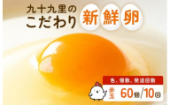 【定期便10回】九十九里ファームこだわりたまご贈答用 60個 ～あおい海・みどりの里～《赤玉》 たまご 卵 玉子 タマゴ 赤玉 卵かけご飯 新鮮 旨み 甘み 贈答用 贈答 ギフト 贈り物 千葉県 匝瑳市