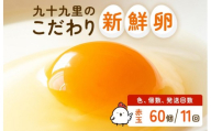 【定期便11回】九十九里ファームこだわりたまご贈答用 60個 ～あおい海・みどりの里～《赤玉》 たまご 卵 玉子 タマゴ 赤玉 卵かけご飯 新鮮 旨み 甘み 贈答用 贈答 ギフト 贈り物 千葉県 匝瑳市