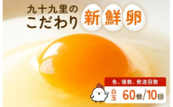 【定期便10回】九十九里ファームこだわりたまご贈答用 60個 ～あおい海・みどりの里～《白玉》 たまご 卵 玉子 タマゴ 白玉 卵かけご飯 新鮮 旨み 甘み 贈答用 贈答 ギフト 贈り物 千葉県 匝瑳市