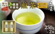 農薬不使用!煎茶 ギフト NO.1 (はつつみ250g+ずいうん250g 計500g) 常磐園 ずいうん 日本茶 緑茶 煎茶 茶葉 お茶 一番茶 白川茶 美濃白川茶 農薬不使用栽培茶 春摘み 大容量 岐阜県 東白川村 お取り寄せ 贈答用 プレゼント ギフトセット